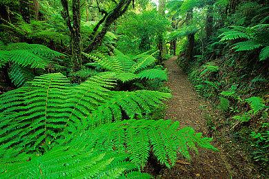 《如龙8：外传》13分钟展示 比《碧海黑帆》好多了