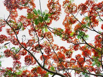 科幻新游《多重人生》获M站86分好评 凡事还得靠自己